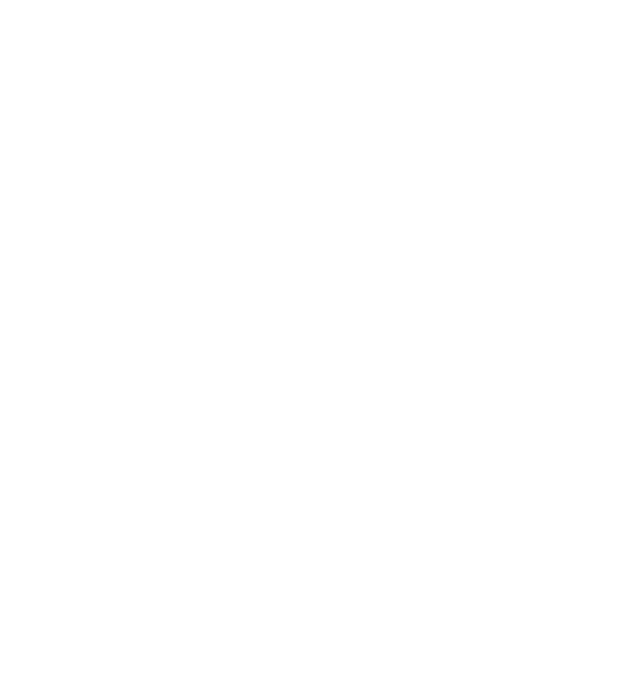 Einstök Wealth Management